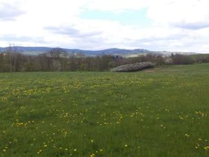 Prodej pozemku, Staré Město - Nová Véska, 10063 m2