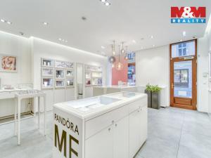 Pronájem obchodního prostoru, Plzeň - Vnitřní Město, Bedřicha Smetany, 116 m2