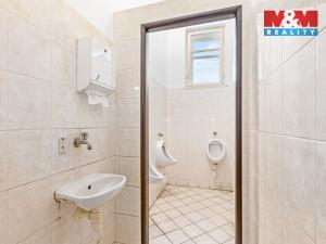 Prodej obchodního prostoru, Žlebské Chvalovice, 280 m2