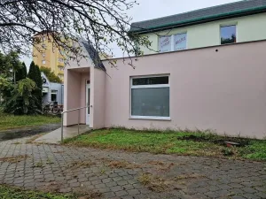 Pronájem obchodního prostoru, Hodonín, Cihlářská čtvrť, 61 m2