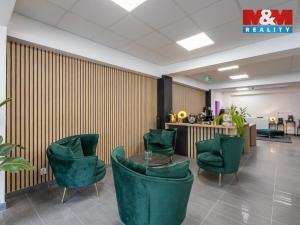 Pronájem obchodního prostoru, Louny, Březinova, 210 m2