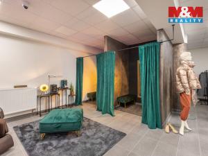 Pronájem obchodního prostoru, Louny, Březinova, 210 m2