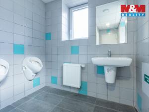 Pronájem obchodního prostoru, Louny, Březinova, 210 m2