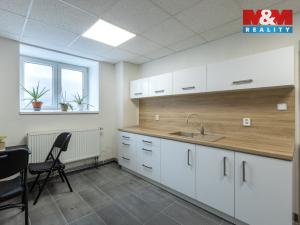 Pronájem obchodního prostoru, Louny, Březinova, 210 m2