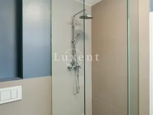 Pronájem bytu 1+kk, Praha - Vinohrady, Lucemburská, 30 m2