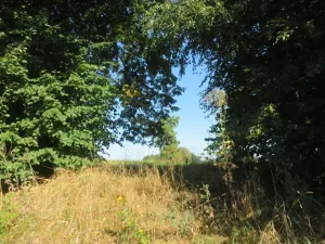 Dražba louky, Opatov, 2916 m2