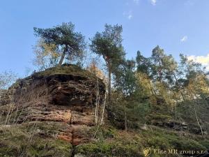Prodej rodinného domu, Noviny pod Ralskem, 210 m2