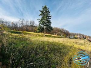 Prodej pozemku pro bydlení, Krnov, Petrův důl, 1306 m2