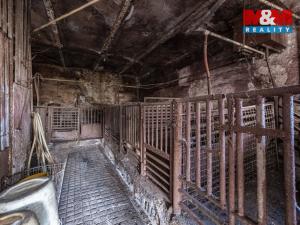 Prodej zemědělské usedlosti, Račetice, 780 m2