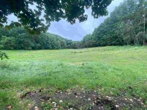 Prodej pole, Úterý - Vidžín, 11289 m2