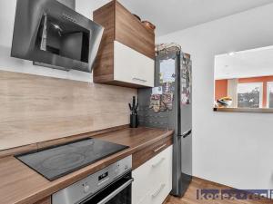 Prodej rodinného domu, Hradec Králové, U Jednoty, 300 m2