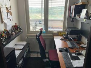 Pronájem bytu 3+1, Chomutov, Březenecká, 74 m2