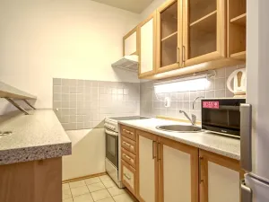 Pronájem bytu 1+kk, Plzeň, Plzenecká, 34 m2