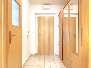 Pronájem bytu 1+kk, Plzeň, Plzenecká, 34 m2