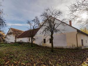 Prodej zemědělské usedlosti, Vysoké Mýto, 250 m2