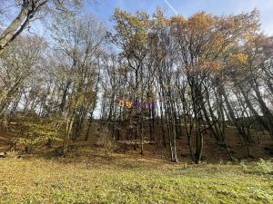 Prodej louky, Popovičky, 1643 m2