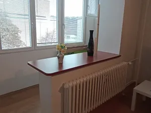 Pronájem bytu 1+kk, Teplice, U divadla, 38 m2