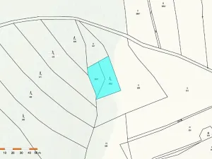 Prodej lesa, Vyskytná nad Jihlavou, 1283 m2