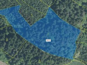 Dražba lesa, Lačnov, 12637 m2