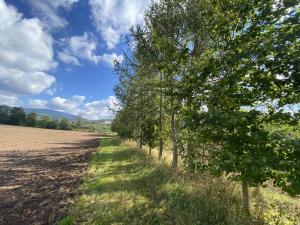 Prodej lesa, Lánov - Horní Lánov, 4009 m2