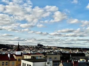 Prodej bytu 2+kk, Praha, Ve Smečkách, 80 m2