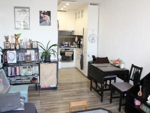 Prodej bytu 2+kk, Rakovník - Rakovník II, Mýtská, 42 m2