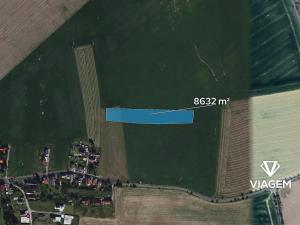 Prodej podílu pole, Březí, 4316 m2