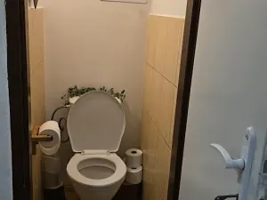 Pronájem pokoje, Praha - Holešovice, Bubenská, 17 m2