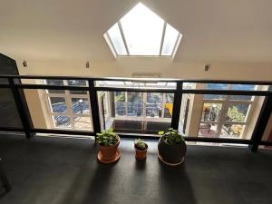 Prodej rodinného domu, Stanovice, 492 m2