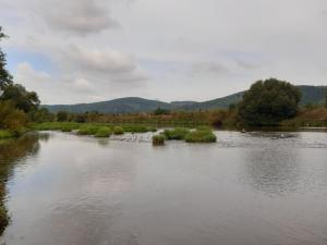 Pronájem bytu 2+kk, Všenory, Květoslava Mašity, 54 m2