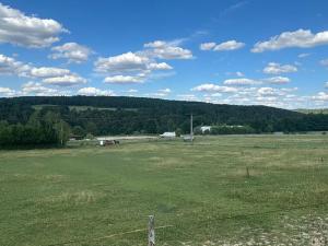 Prodej pozemku pro bydlení, Albrechtice nad Vltavou, 5665 m2