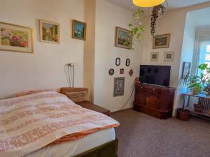 Prodej bytu 3+1, Pardubice - Zelené Předměstí, Staňkova, 83 m2