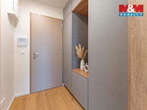 Pronájem bytu 1+kk, Brandýs nad Labem-Stará Boleslav - Brandýs nad Labem, Dřevčická, 38 m2