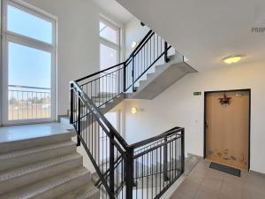 Pronájem bytu 2+kk, Brno, Bučkova, 49 m2