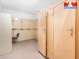 Pronájem obchodního prostoru, Chrastava - Dolní Chrastava, U Nisy, 740 m2