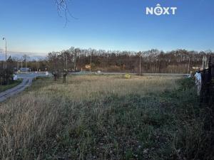 Prodej zahrady, Veltrusy, 4381 m2