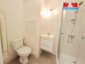 Pronájem bytu 1+1, Ostrov, Odborů, 33 m2