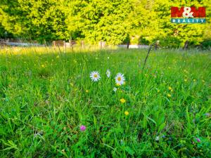 Prodej louky, Jílové u Prahy, 18692 m2