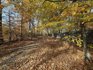 Prodej bytu 2+kk, Jesenice, Lomená, 45 m2