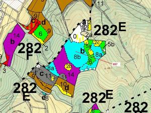 Dražba lesa, Lhota Rapotina, 1938 m2