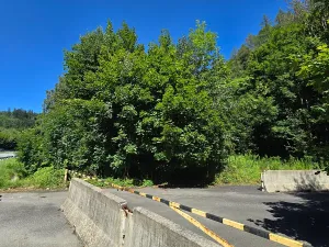 Prodej komerčního pozemku, Hodkovice nad Mohelkou, 6702 m2