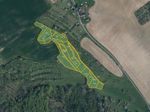 Prodej louky, Štětí, 24191 m2