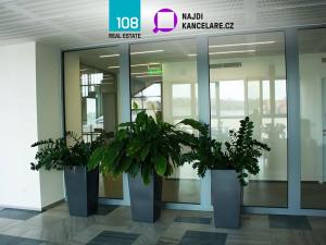 Pronájem kanceláře, Ostrava, Gregorova, 740 m2