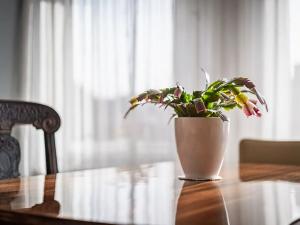 Prodej rodinného domu, Praha - Strašnice, Břežanská, 215 m2