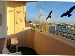 Prodej bytu 3+1, Praha - Letňany, Dobratická, 68 m2