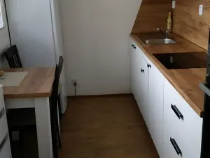 Pronájem bytu 1+1, Brno, Brožíkova, 38 m2