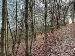 Prodej pozemku, Jílové u Prahy, 3438 m2