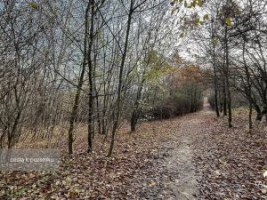 Prodej pozemku, Jílové u Prahy, 3438 m2