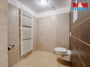 Pronájem bytu 3+kk, Plzeň - Východní Předměstí, Železniční, 96 m2