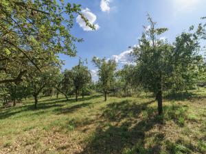 Prodej rodinného domu, Bařice-Velké Těšany - Velké Těšany, 240 m2